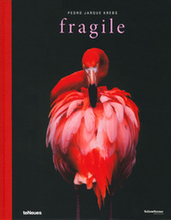 Fragile. Ediz. inglese, tedesca, spagnola e francese - Librerie.coop Fragile. Ediz. inglese, tedesca, spagnola e francese - Librerie.coop