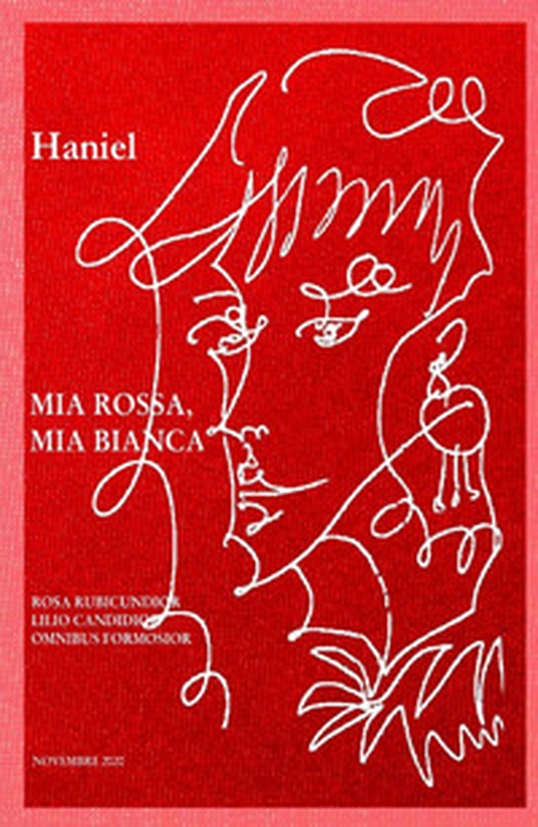 Mia rossa, Mia bianca. Rosa rubicundior, lilio candidior, omnibus formosior - Librerie.coop Mia rossa, Mia bianca. Rosa rubicundior, lilio candidior, omnibus formosior - Librerie.coop
