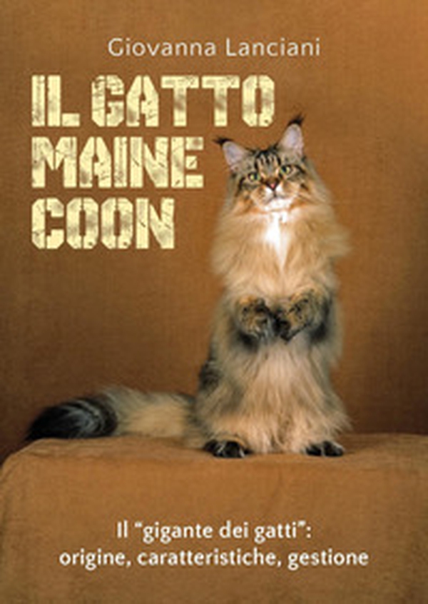 Il gatto Maine Coon - Librerie.coop Il gatto Maine Coon - Librerie.coop
