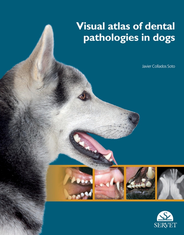 Visual Atlas of Dental Pathologies in Dogs - Librerie.coop Visual Atlas of Dental Pathologies in Dogs - Librerie.coop