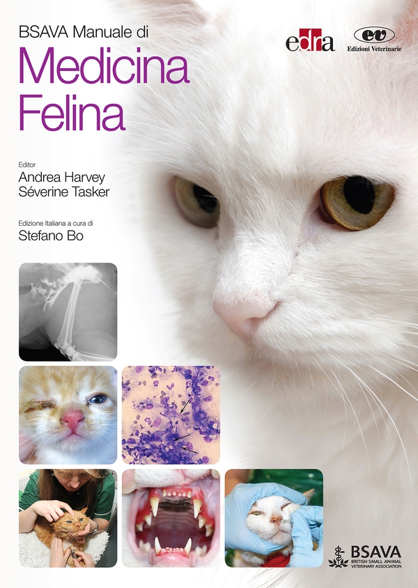 BSAVA Manuale di medicina felina - Librerie.coop BSAVA Manuale di medicina felina - Librerie.coop