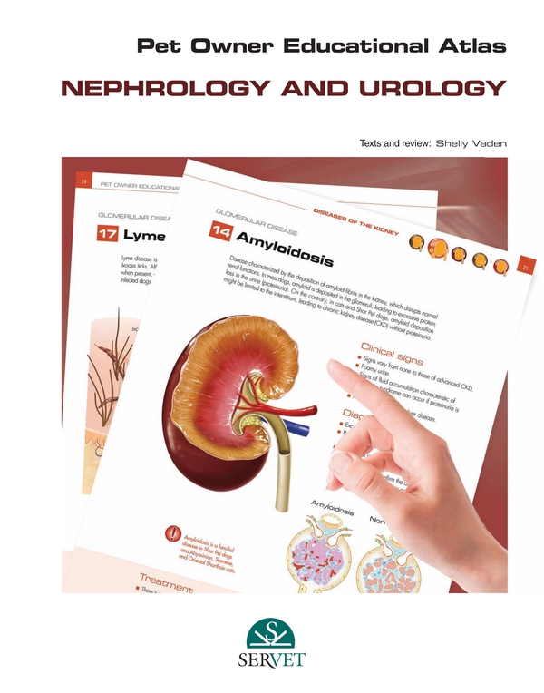 Pet Owner Educational Atlas. Nephrology - Librerie.coop Pet Owner Educational Atlas. Nephrology - Librerie.coop
