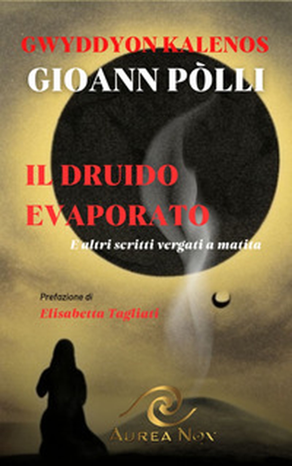 Il Druido evaporato. E altri scritti vergati a matita - Librerie.coop Il Druido evaporato. E altri scritti vergati a matita - Librerie.coop