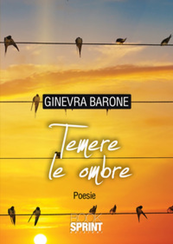 Temere le ombre - Librerie.coop Temere le ombre - Librerie.coop
