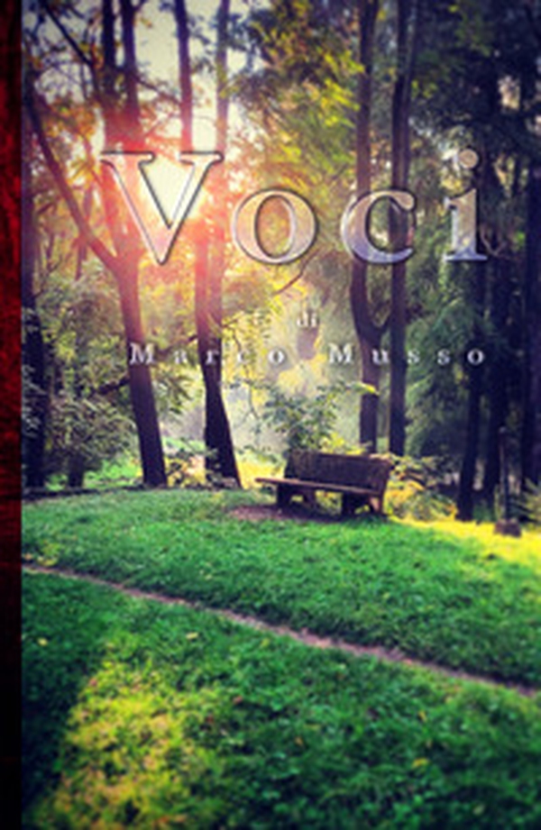Voci. Un viaggio di emozioni raccolte durante l'uscita in servizio in supporto dei senza fissa dimora di Milano - Librerie.coop Voci. Un viaggio di emozioni raccolte durante l'uscita in servizio in supporto dei senza fissa dimora di Milano - Librerie.coop