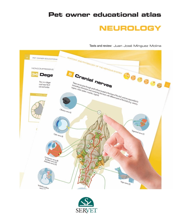 Pet Owner Educational Atlas. Neurology - Librerie.coop Pet Owner Educational Atlas. Neurology - Librerie.coop