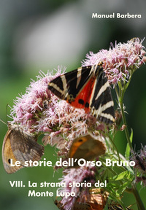 La strana storia del Monte Lupo. Le storie dell'orso bruno - Librerie.coop La strana storia del Monte Lupo. Le storie dell'orso bruno - Librerie.coop