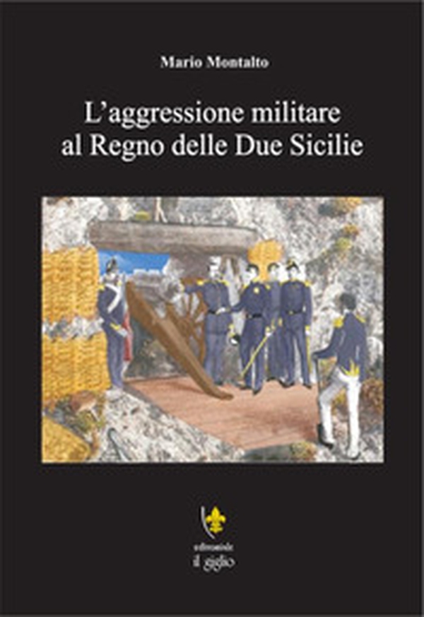 L'aggressione militare al Regno delle Due Sicilie - Librerie.coop L'aggressione militare al Regno delle Due Sicilie - Librerie.coop
