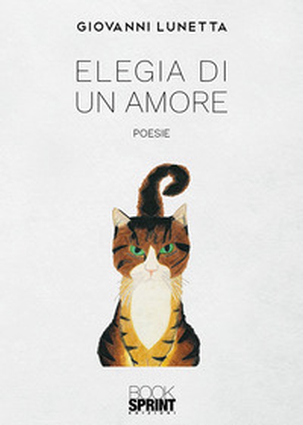 Elegia di un amore - Librerie.coop Elegia di un amore - Librerie.coop