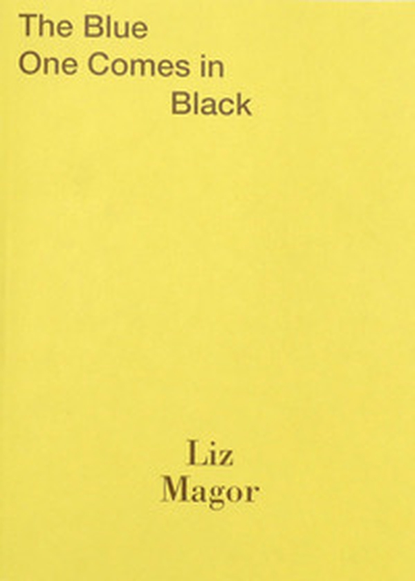 Liz Magor: The blue one comes in black. Ediz. inglese e francese - Librerie.coop Liz Magor: The blue one comes in black. Ediz. inglese e francese - Librerie.coop