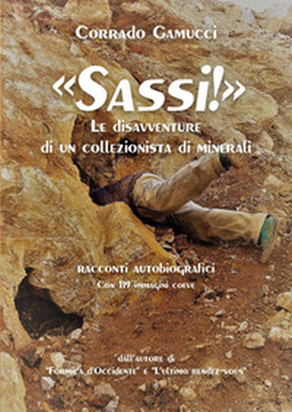 Sassi! Le disavventure di un collezionista di minerali - Librerie.coop Sassi! Le disavventure di un collezionista di minerali - Librerie.coop