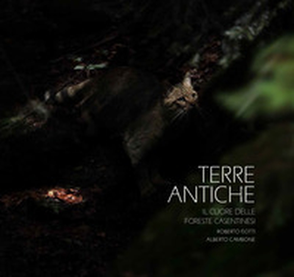 Terre antiche. Il cuore delle foreste Casentinesi - Librerie.coop Terre antiche. Il cuore delle foreste Casentinesi - Librerie.coop