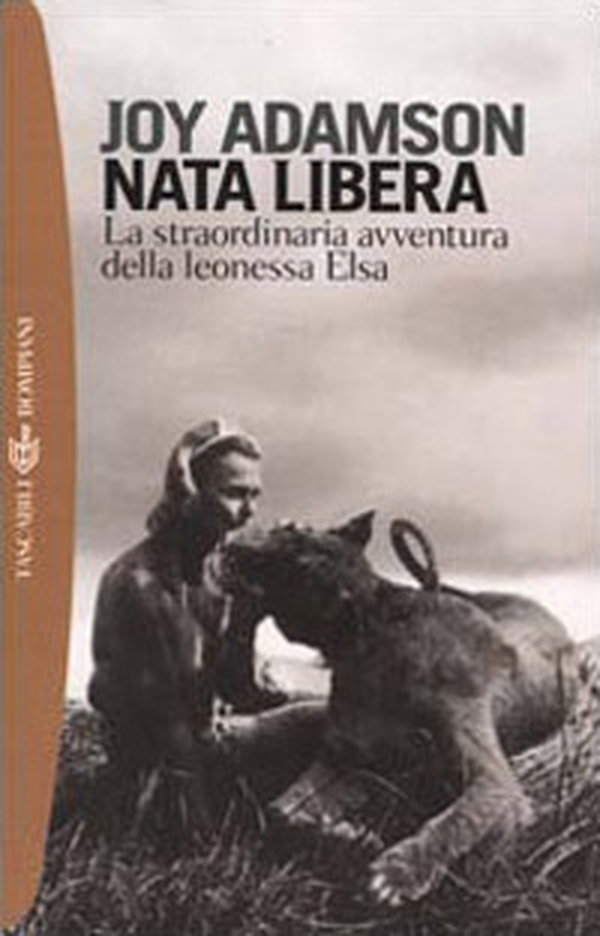 Nata libera. La straordinaria avventura della leonessa Elsa - Librerie.coop Nata libera. La straordinaria avventura della leonessa Elsa - Librerie.coop