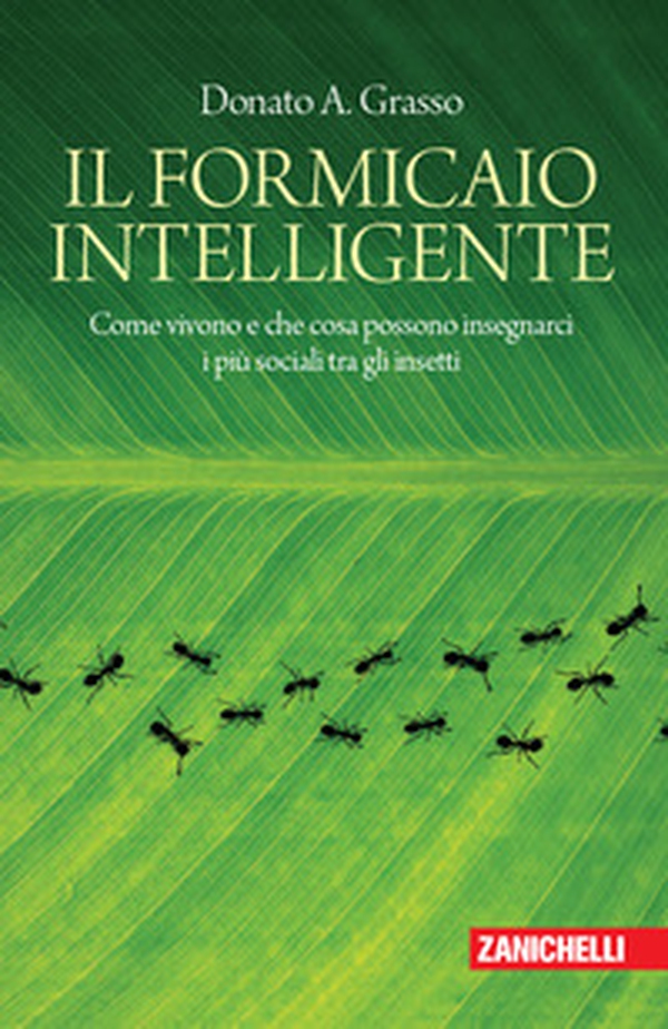 Il formicaio intelligente. Come vivono e che cosa possono insegnarci i più sociali tra gli insetti - Librerie.coop Il formicaio intelligente. Come vivono e che cosa possono insegnarci i più sociali tra gli insetti - Librerie.coop