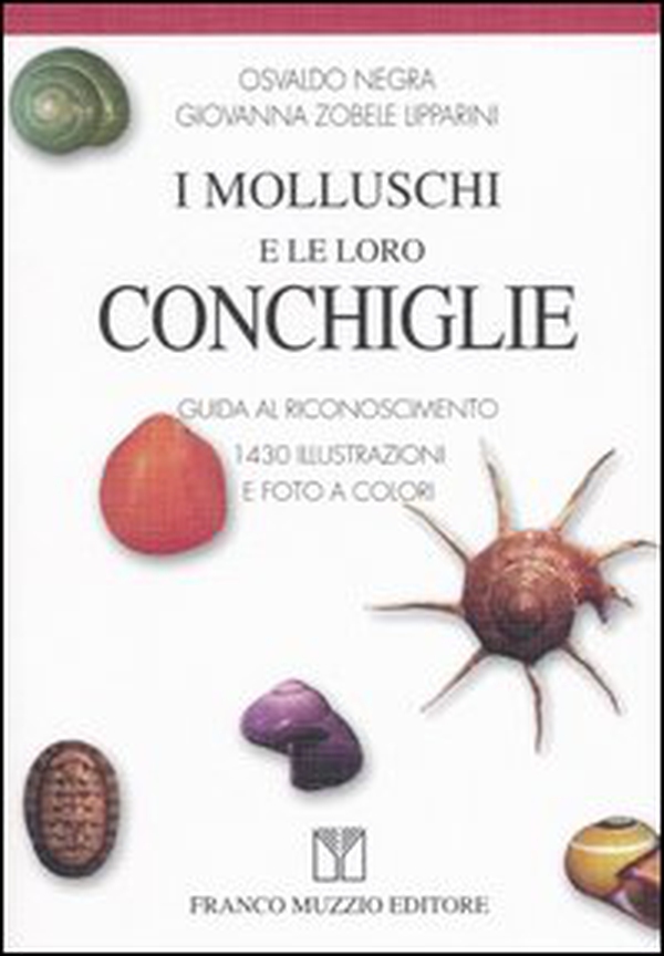 I molluschi e le loro conchiglie. Guida al riconoscimento - Librerie.coop I molluschi e le loro conchiglie. Guida al riconoscimento - Librerie.coop