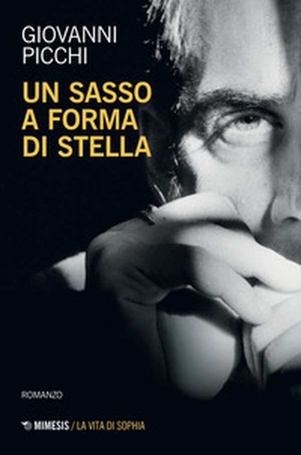 Un sasso a forma di stella - Librerie.coop Un sasso a forma di stella - Librerie.coop