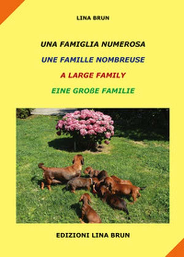 Una famiglia numerosa-Une famille nombreuse-A large family-Eine grabe familie - Librerie.coop Una famiglia numerosa-Une famille nombreuse-A large family-Eine grabe familie - Librerie.coop