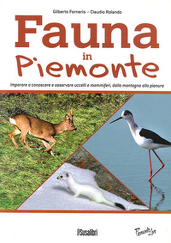 Fauna In Piemonte. Imparare a conoscere e osservare uccelli e mammiferi, dalla montagna alla pianura - Librerie.coop Fauna In Piemonte. Imparare a conoscere e osservare uccelli e mammiferi, dalla montagna alla pianura - Librerie.coop