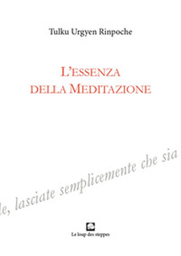 L'essenza della meditazione - Librerie.coop L'essenza della meditazione - Librerie.coop