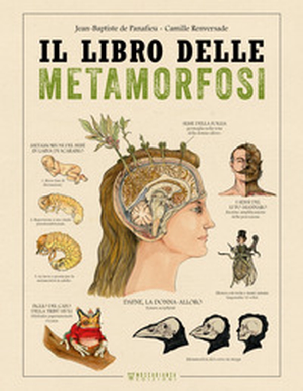 Il libro delle metamorfosi - Librerie.coop Il libro delle metamorfosi - Librerie.coop