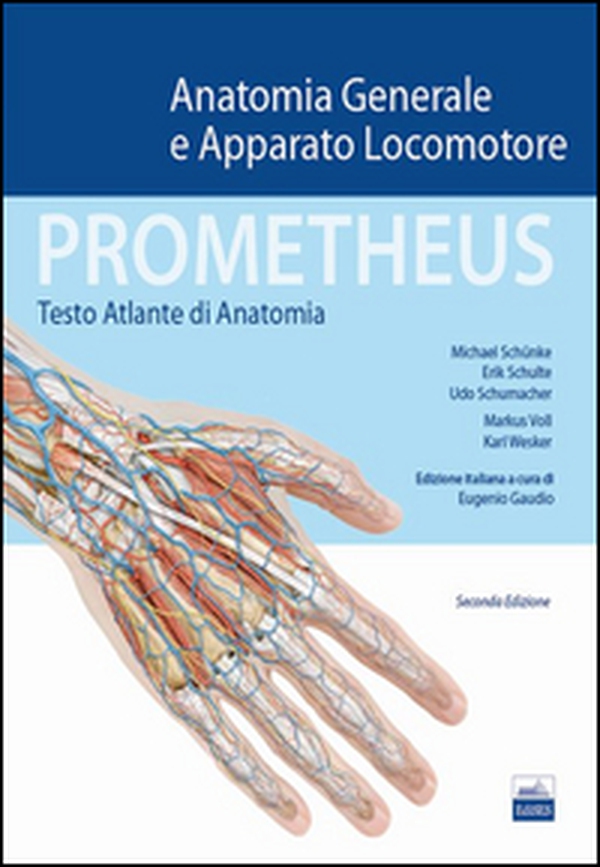 Prometheus. Testo atlante di anatonomia. Anatomia generale e apparato locomotore - Librerie.coop Prometheus. Testo atlante di anatonomia. Anatomia generale e apparato locomotore - Librerie.coop