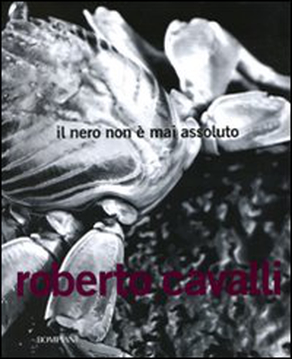 Il nero non è mai assoluto - Librerie.coop Il nero non è mai assoluto - Librerie.coop