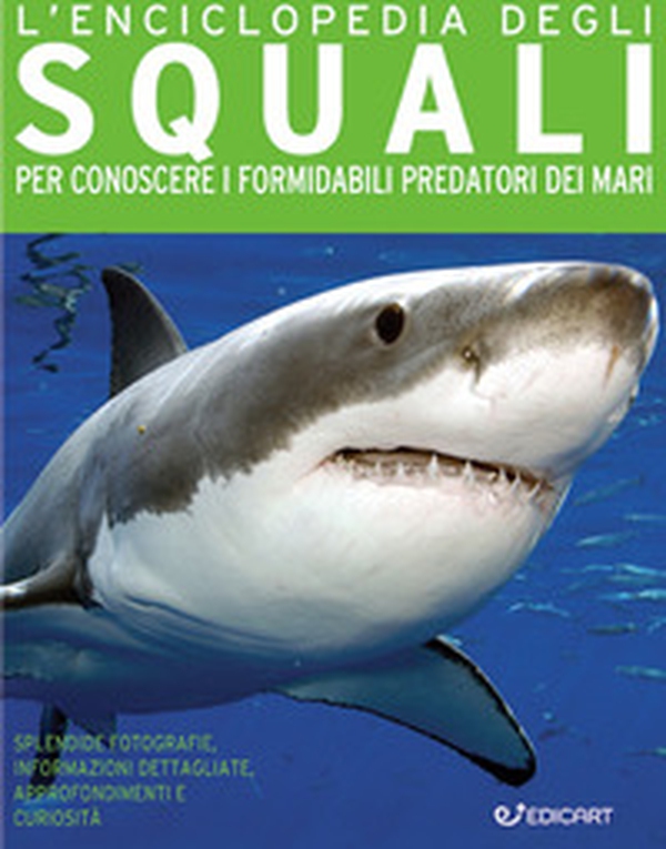 L'enciclopedia degli squali. Per conoscere i formidabili predatori dei mari - Librerie.coop L'enciclopedia degli squali. Per conoscere i formidabili predatori dei mari - Librerie.coop