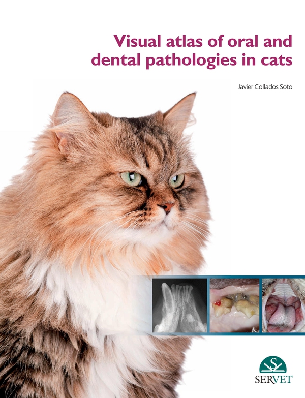 Visual Atlas of Oral and Dental Pathologies in Cats - Librerie.coop Visual Atlas of Oral and Dental Pathologies in Cats - Librerie.coop