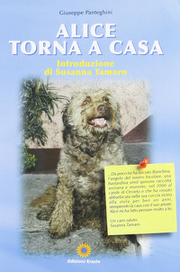 Alice torna a casa - Librerie.coop Alice torna a casa - Librerie.coop