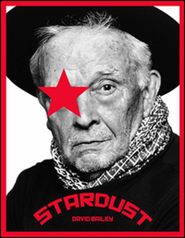 Stardust. Ediz. inglese - Librerie.coop Stardust. Ediz. inglese - Librerie.coop