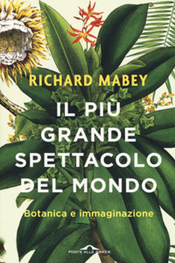 Il più grande spettacolo del mondo. Botanica e immaginazione - Librerie.coop Il più grande spettacolo del mondo. Botanica e immaginazione - Librerie.coop