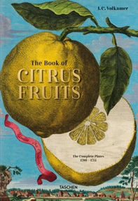Johann Christoph Volkamer. The book of citrus fruits. Ediz. inglese, francese e tedesca - Librerie.coop