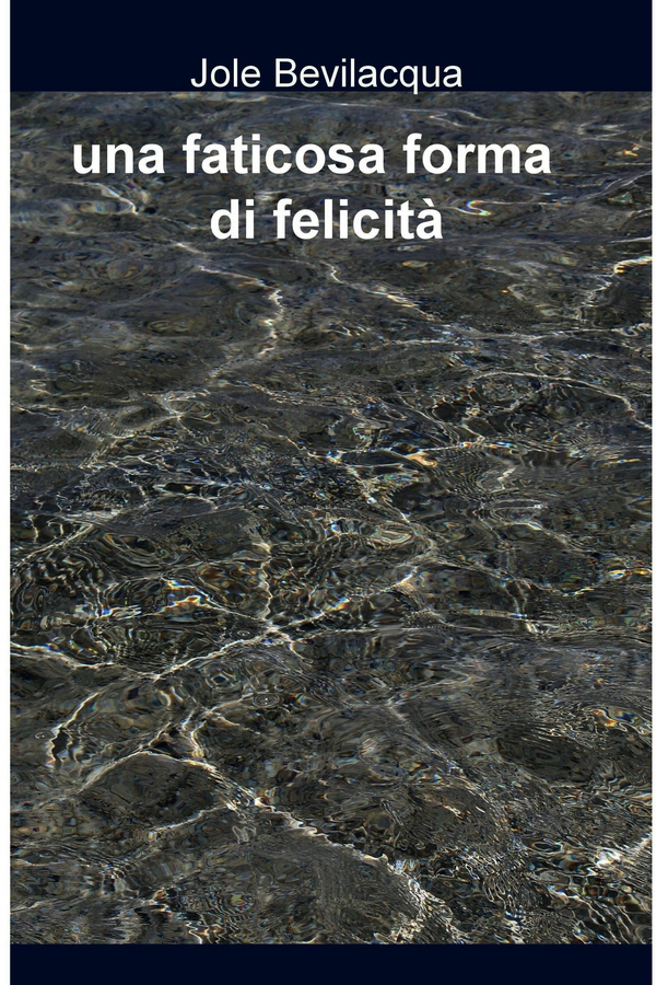 una faticosa forma di felicità - Librerie.coop una faticosa forma di felicità - Librerie.coop