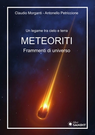 Meteoriti. Frammenti di universo. Un legame tra cielo e terra - Librerie.coop