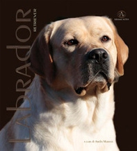 Labrador Retriver. Monografia fotografica - Librerie.coop