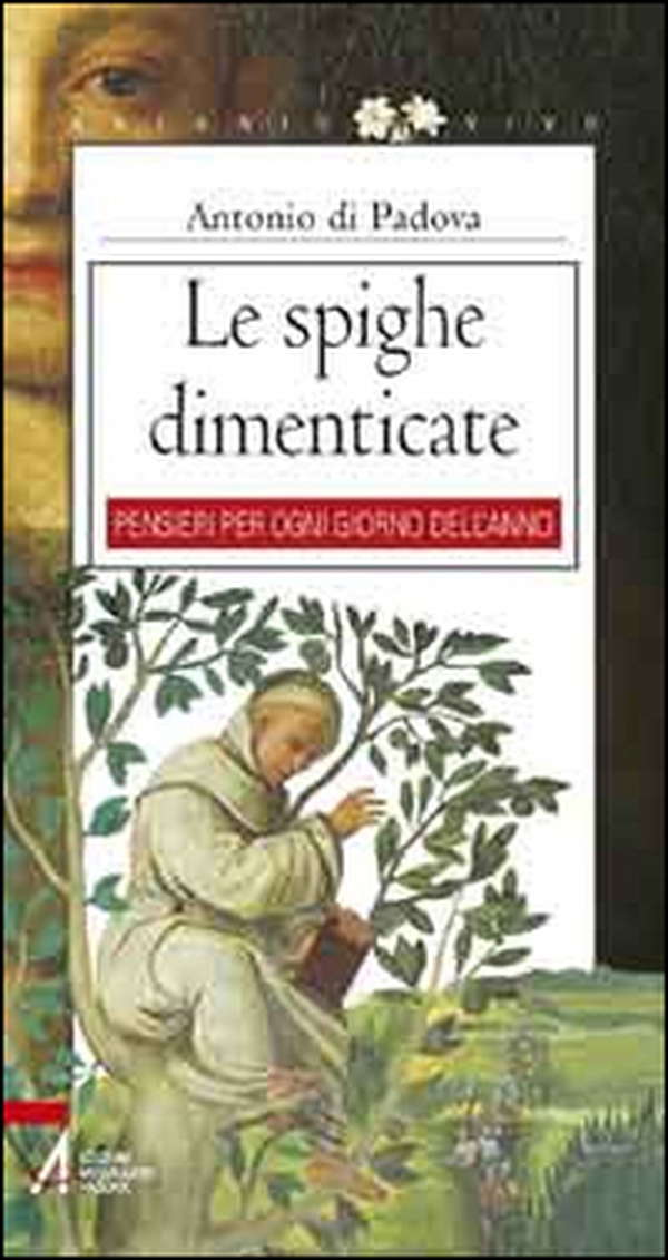 Le spighe dimenticate - Librerie.coop Le spighe dimenticate - Librerie.coop