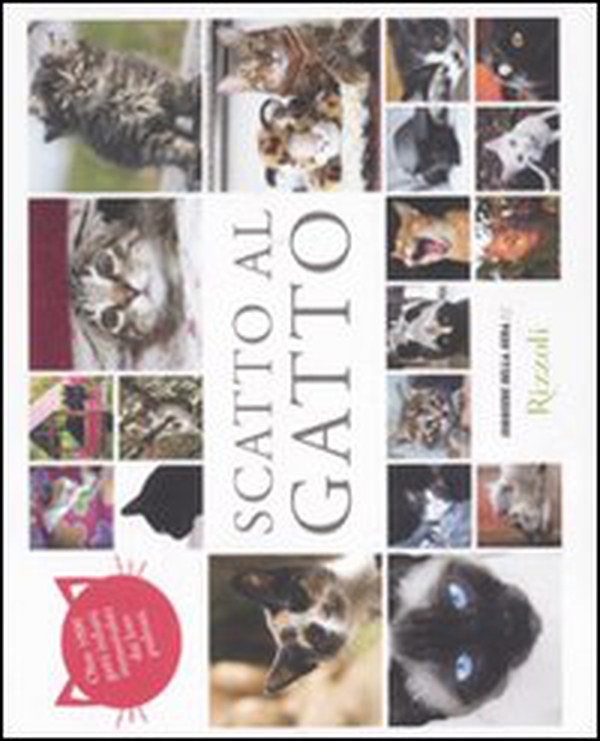 Scatto al gatto. Oltre 1000 gatti italiani immortalati dai loro padroni - Librerie.coop Scatto al gatto. Oltre 1000 gatti italiani immortalati dai loro padroni - Librerie.coop