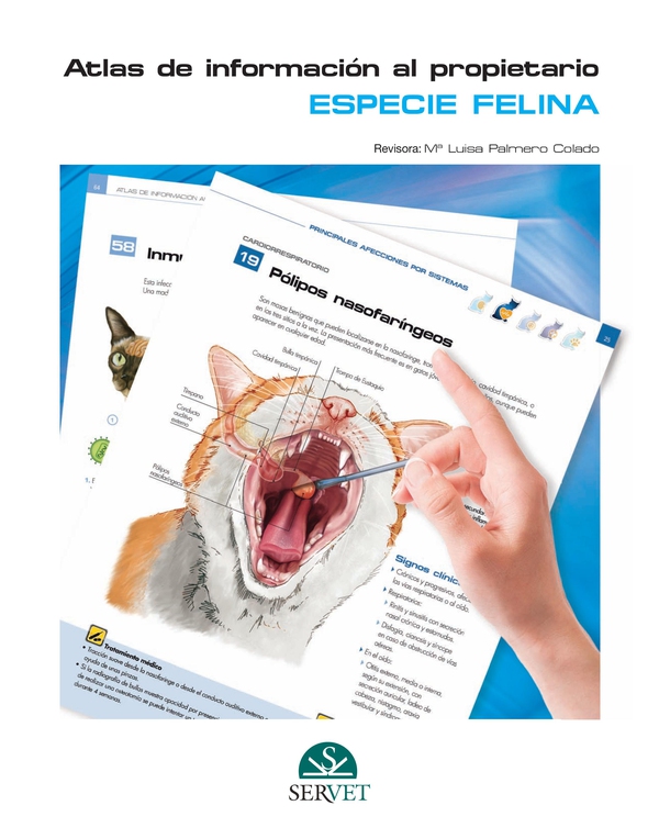 Atlas de información al propietario. Especie felina - Librerie.coop Atlas de información al propietario. Especie felina - Librerie.coop