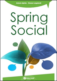 Spring social. Integra i social network nelle applicazioni software in linguaggio Java - Librerie.coop