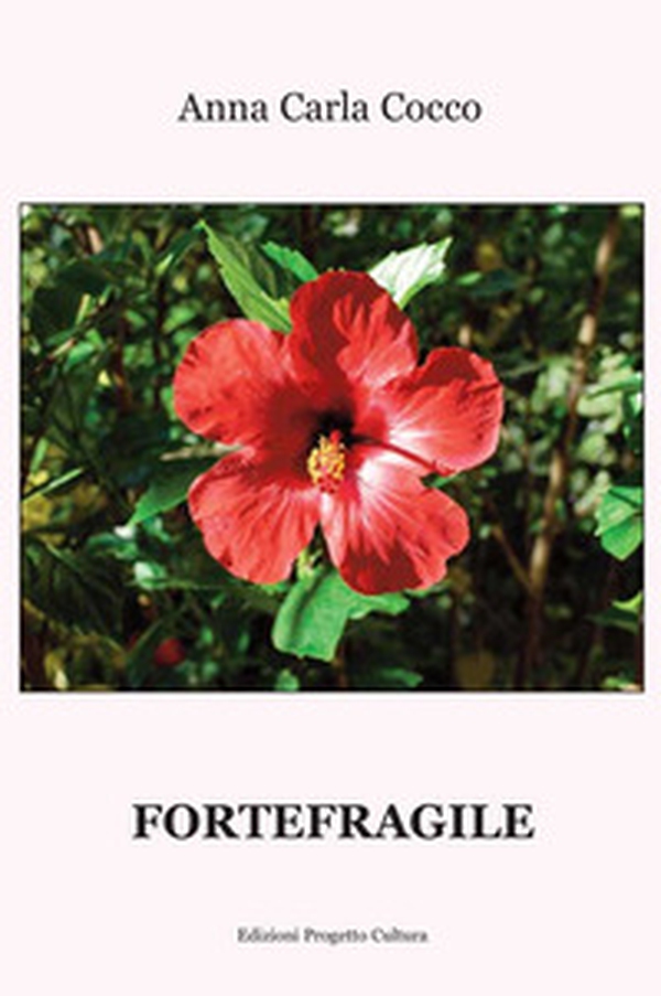 Fortefragile - Librerie.coop Fortefragile - Librerie.coop