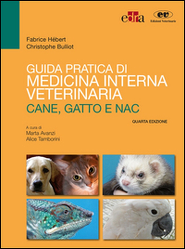 Guida pratica di medicina interna veterinaria. Cane, gatto e NAC - Librerie.coop Guida pratica di medicina interna veterinaria. Cane, gatto e NAC - Librerie.coop