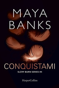 Conquistami. Slow burn series - Librerie.coop