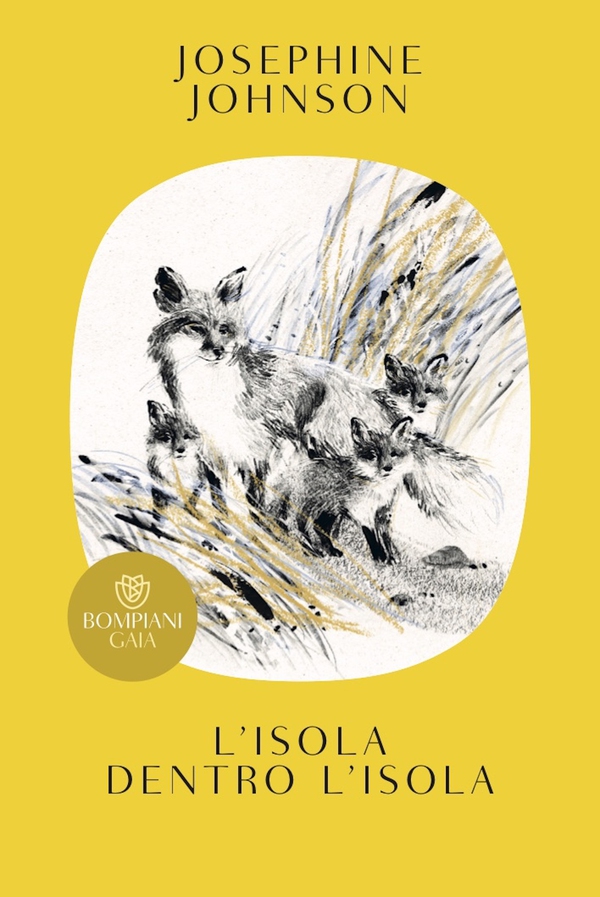 L'isola dentro l'isola - Librerie.coop L'isola dentro l'isola - Librerie.coop