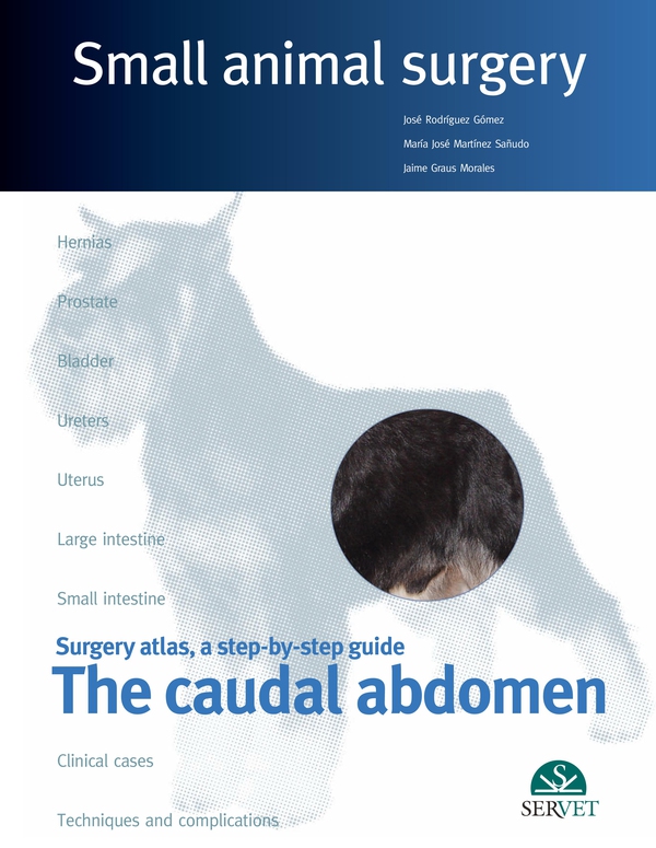 Small Animal Surgery. The Caudal Abdomen - Librerie.coop Small Animal Surgery. The Caudal Abdomen - Librerie.coop