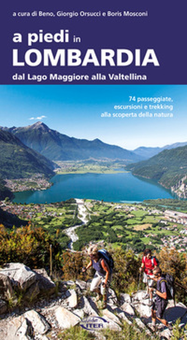 A piedi in Lombardia. Dal Lago Maggiore alla Valtellina. 74 passeggiate, escursioni e trekking alla scoperta della natura - Librerie.coop A piedi in Lombardia. Dal Lago Maggiore alla Valtellina. 74 passeggiate, escursioni e trekking alla scoperta della natura - Librerie.coop