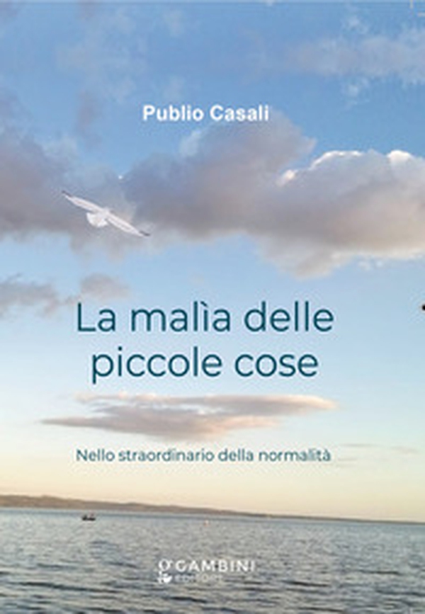 La malìa delle piccole cose. Nello straordinario della normalità - Librerie.coop La malìa delle piccole cose. Nello straordinario della normalità - Librerie.coop