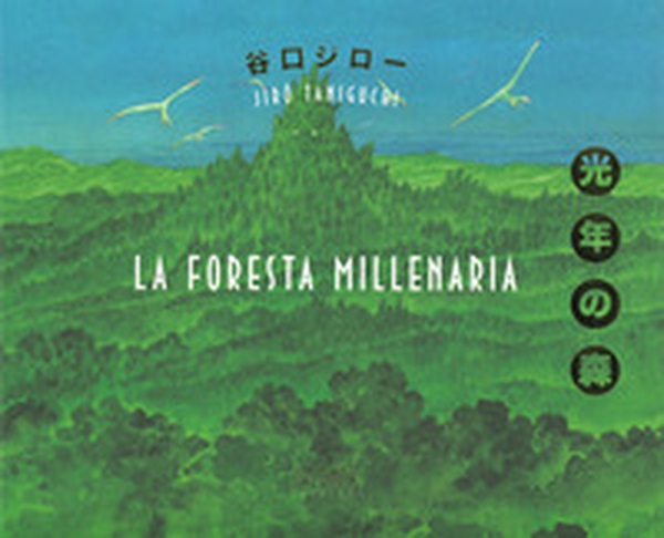 La foresta millenaria - Librerie.coop La foresta millenaria - Librerie.coop