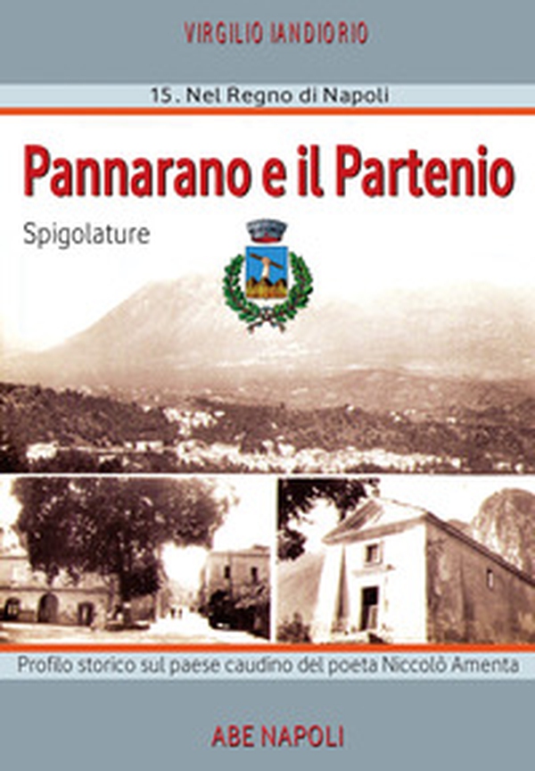 Pannarano e il Partenio: spigolature. Profilo storico sul paese caudino del poeta Niccolò Amenta - Librerie.coop Pannarano e il Partenio: spigolature. Profilo storico sul paese caudino del poeta Niccolò Amenta - Librerie.coop