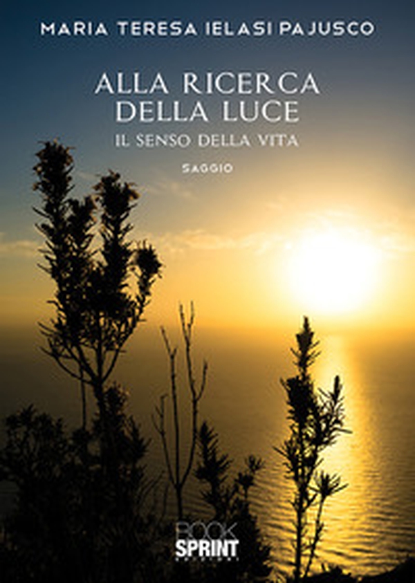Alla ricerca della luce. Il senso della vita - Librerie.coop Alla ricerca della luce. Il senso della vita - Librerie.coop