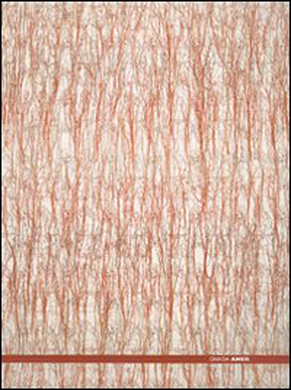 Ghada Amer. Catalogo della mostra (Roma, 25 maggio-30 settembre 2007). Ediz. italiana e inglese - Librerie.coop Ghada Amer. Catalogo della mostra (Roma, 25 maggio-30 settembre 2007). Ediz. italiana e inglese - Librerie.coop
